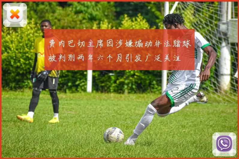 费内巴切主席因涉嫌煽动非法赌球被判刑两年六个月引发广泛关注